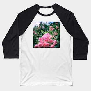 gardens with diana mini Baseball T-Shirt